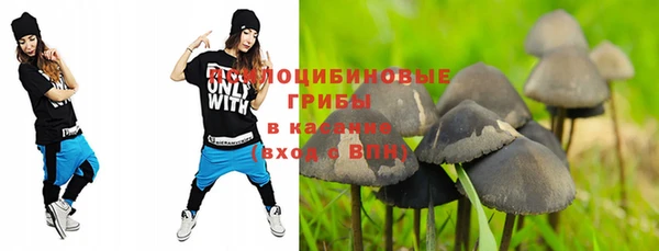 молекула духа Арсеньев