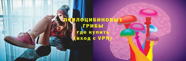 молекула духа Арсеньев
