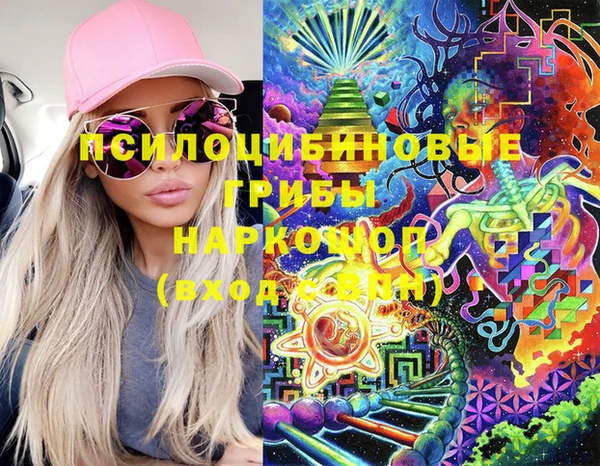 молекула духа Арсеньев