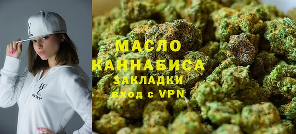 молекула духа Арсеньев