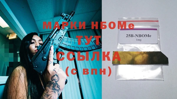 молекула духа Арсеньев