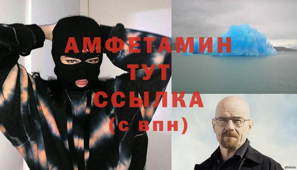 молекула духа Арсеньев