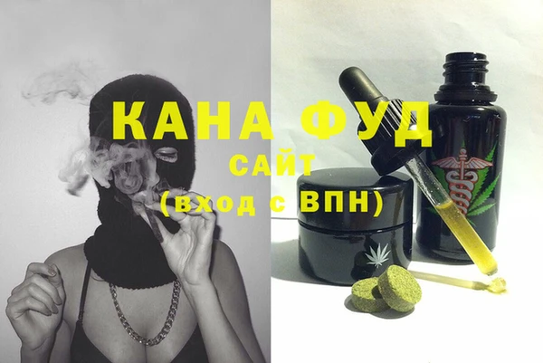 молекула духа Арсеньев
