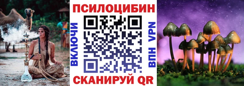 наркотики  Гаврилов-Ям  Псилоцибиновые грибы прущие грибы 